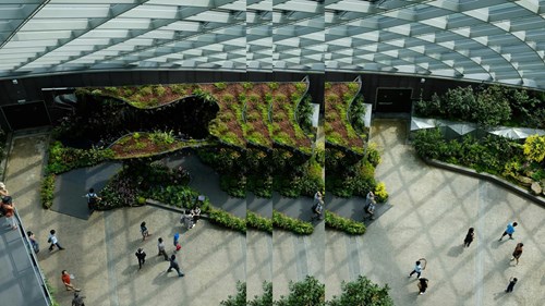 Building with garden with pulse