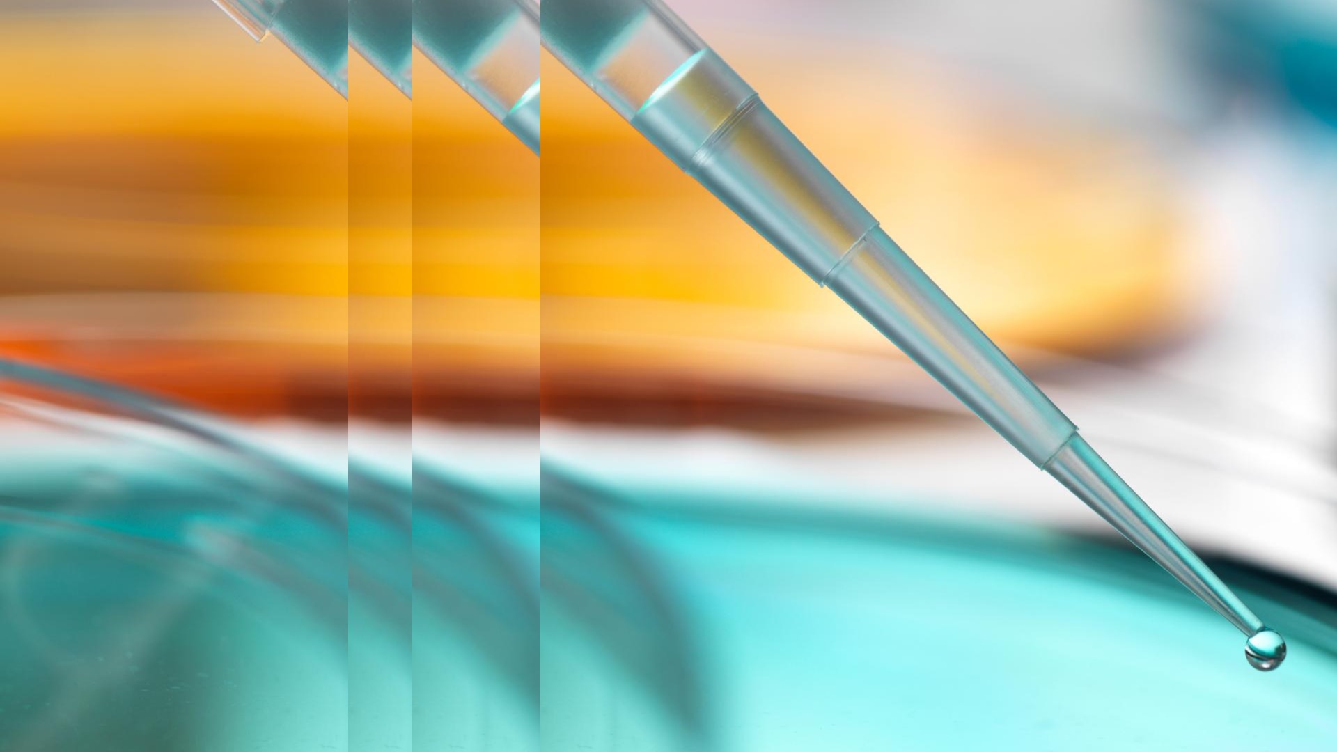 closeup of samples with pulse