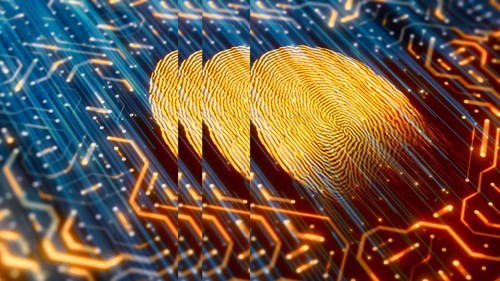 Digital identity scanner with pulse