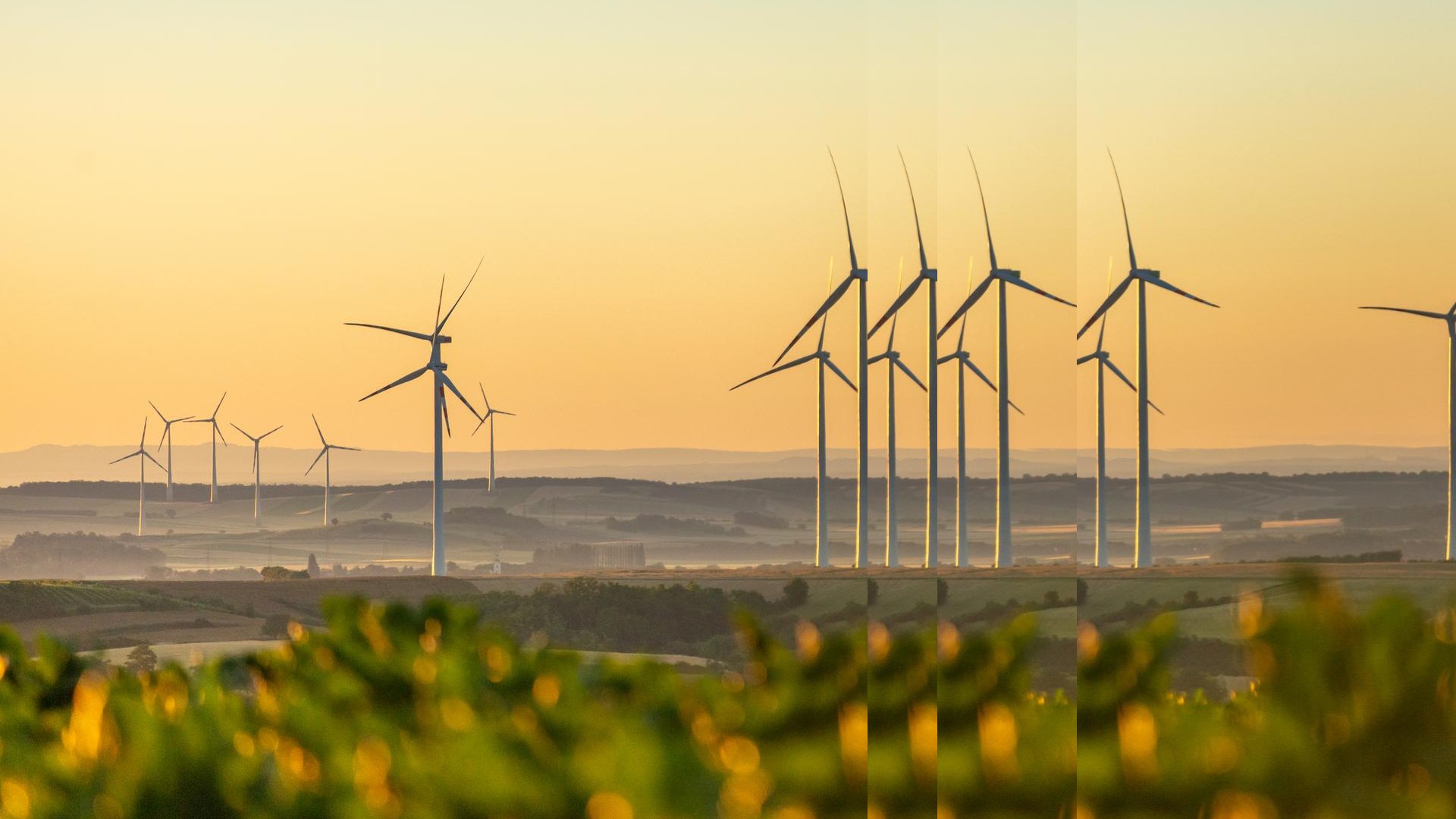 Foggy landscape wind turbines with pulse