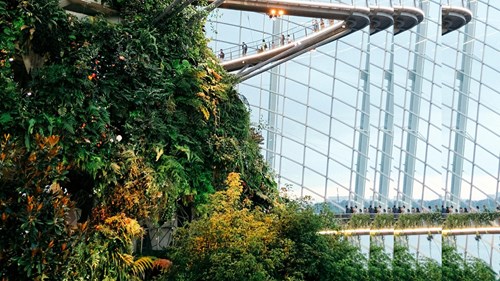 glass building with garden architecture with pulse