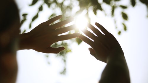 hands against the sun