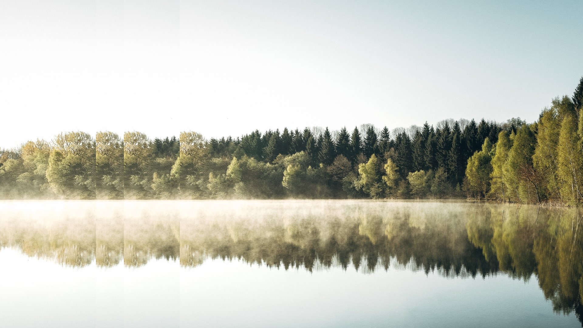 Lake by sunrise pulsed