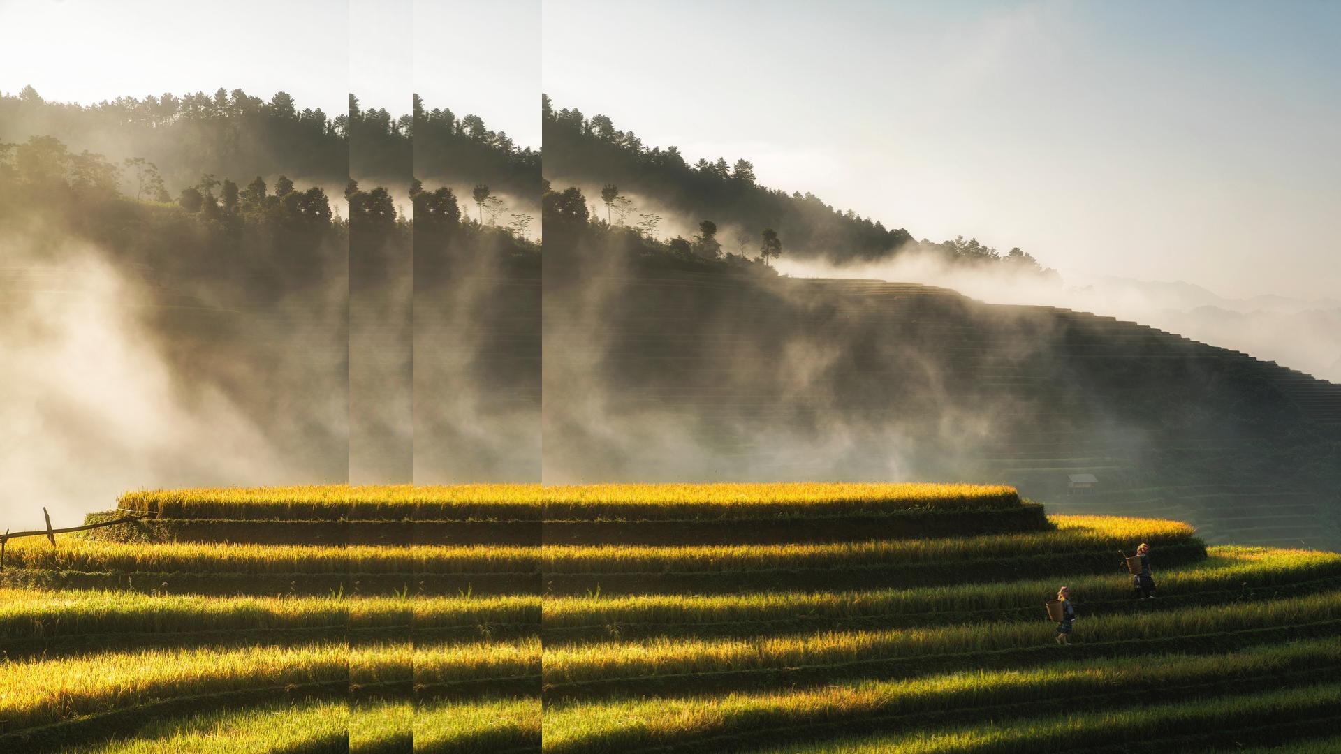 nature mountains with pulse