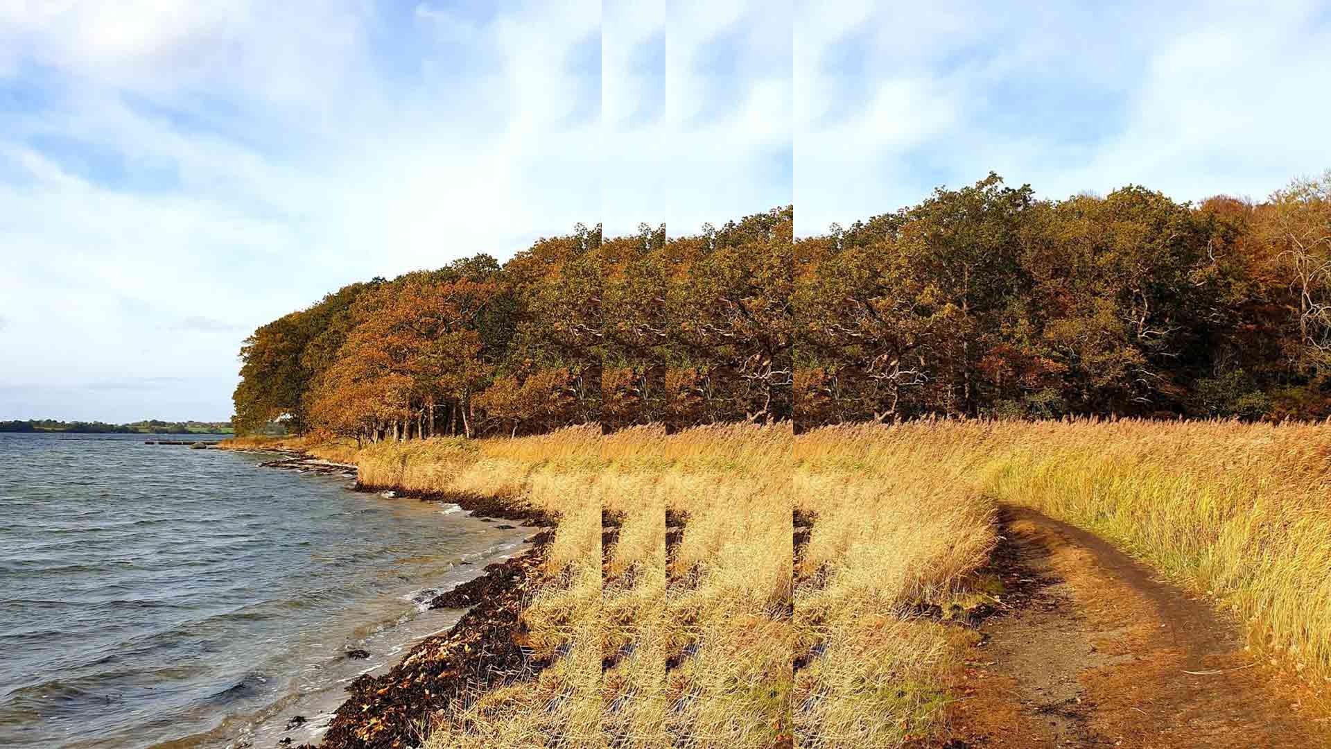 path water with pulse