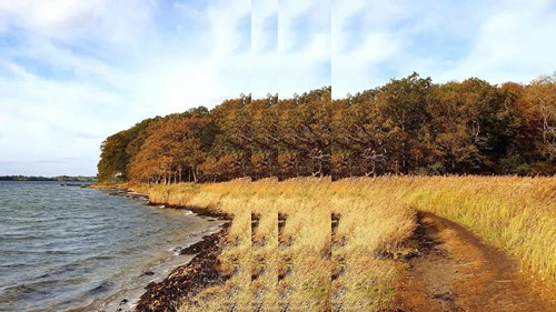 path water with pulse