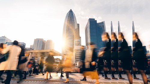 people shopping sun with pulse