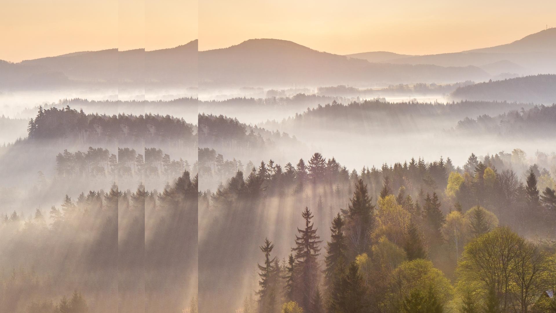 spring rays with pulse