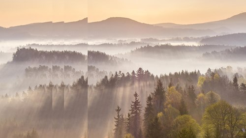 spring rays with pulse