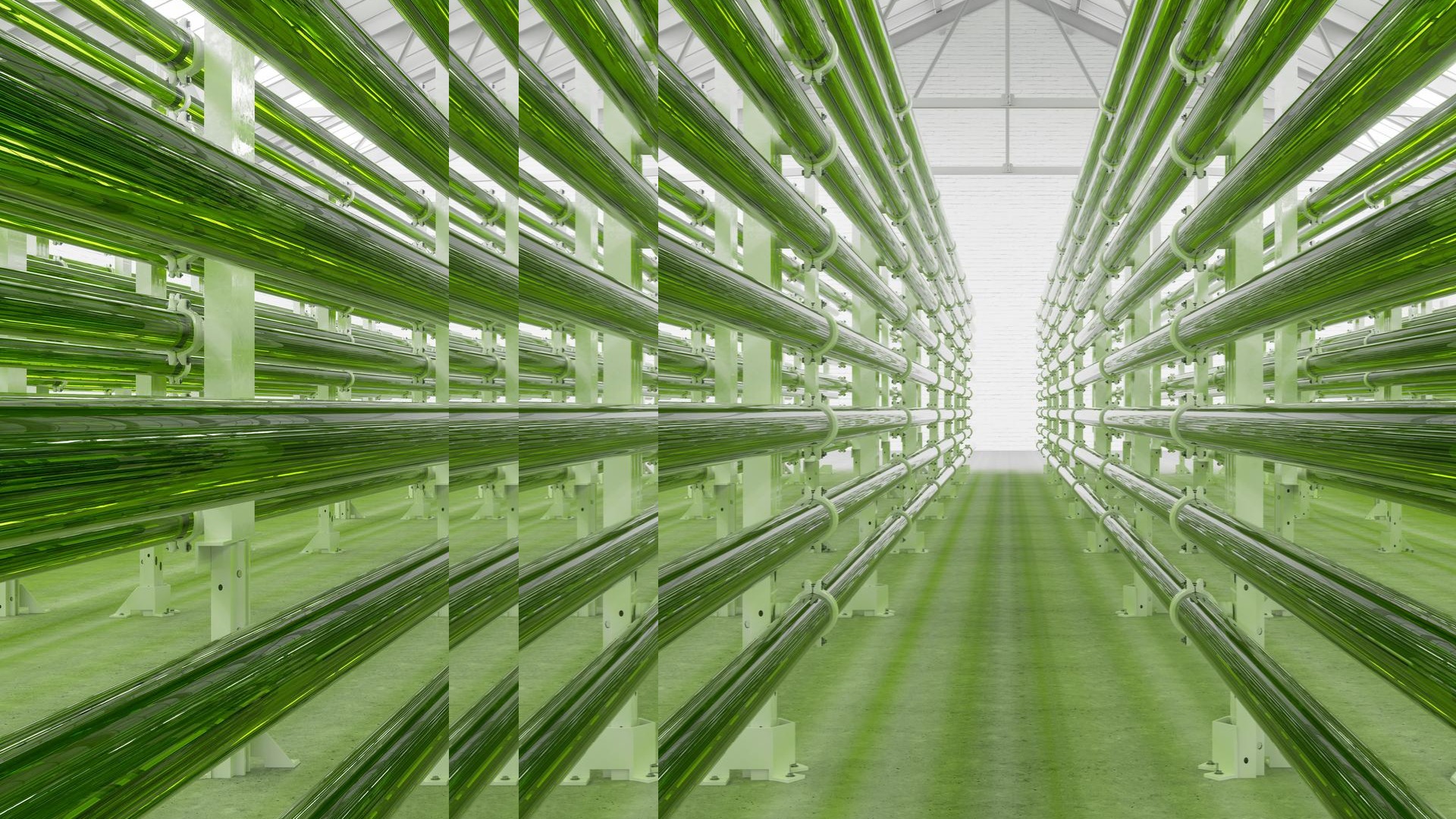 Tubular algae bioreactors biofuel with pulse