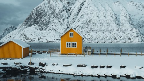 house snow with pulse