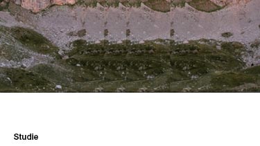 ESG Studie Titelblatt