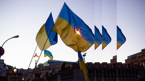 Ukraine Flags