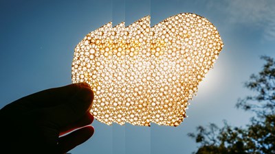 Hands holding honeycomb sustainability