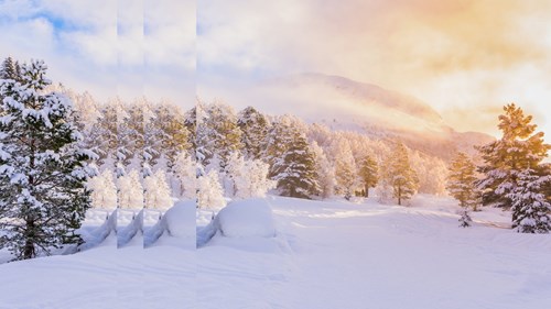 winter landscape with sunrise pulsed