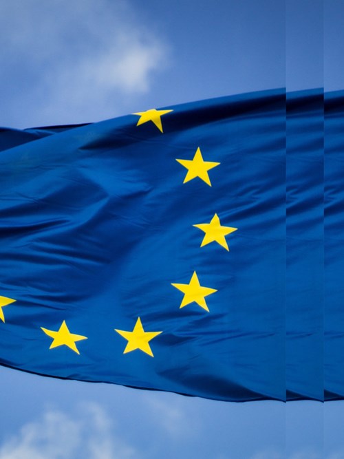 EU Flag with Pulse