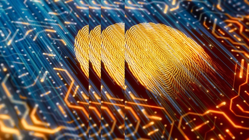 Digital identity scanner with pulse