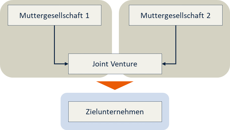 Schaubild Joint Ventures als Erwerber 2