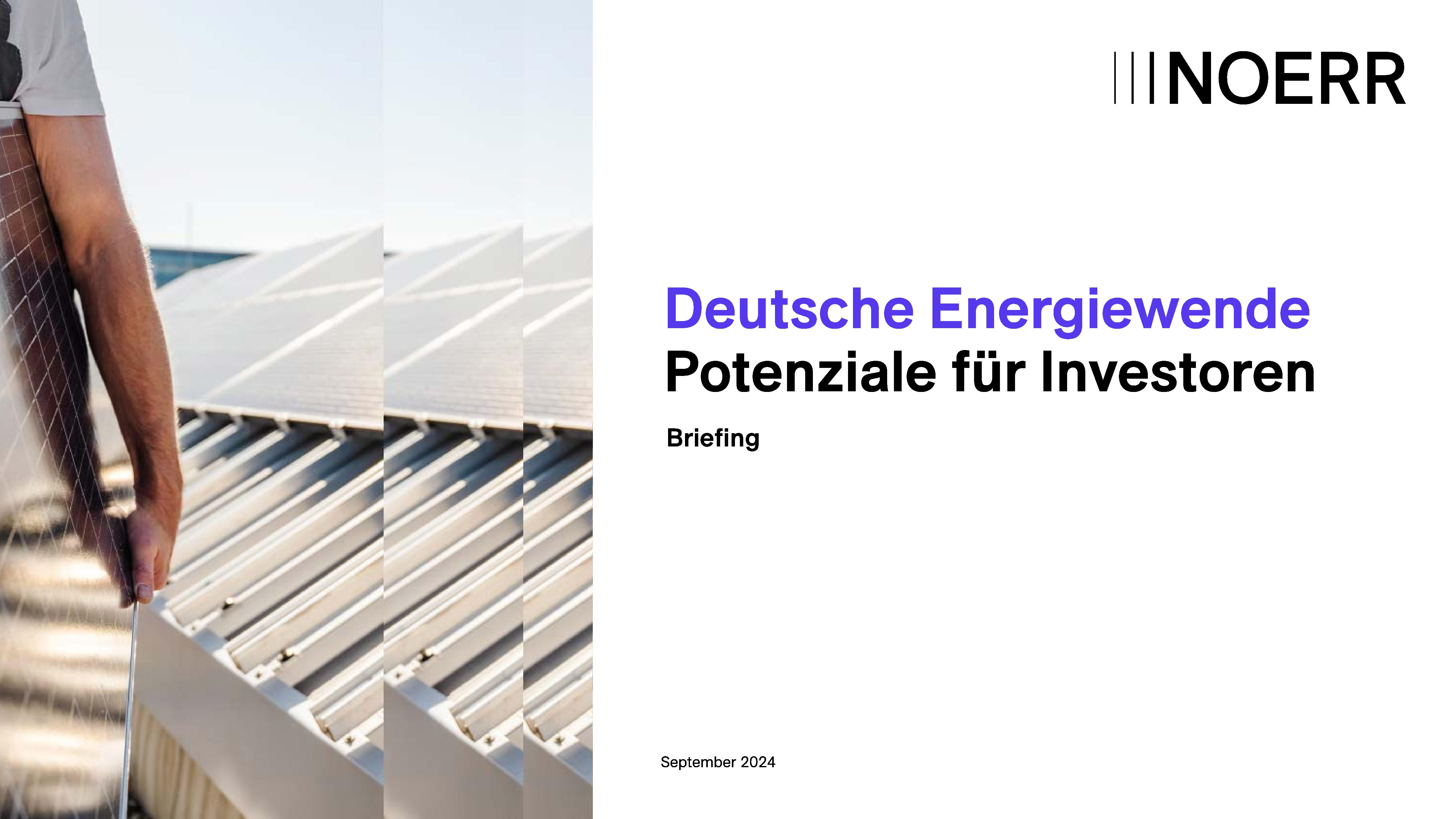 Briefing Energiewirtschaft