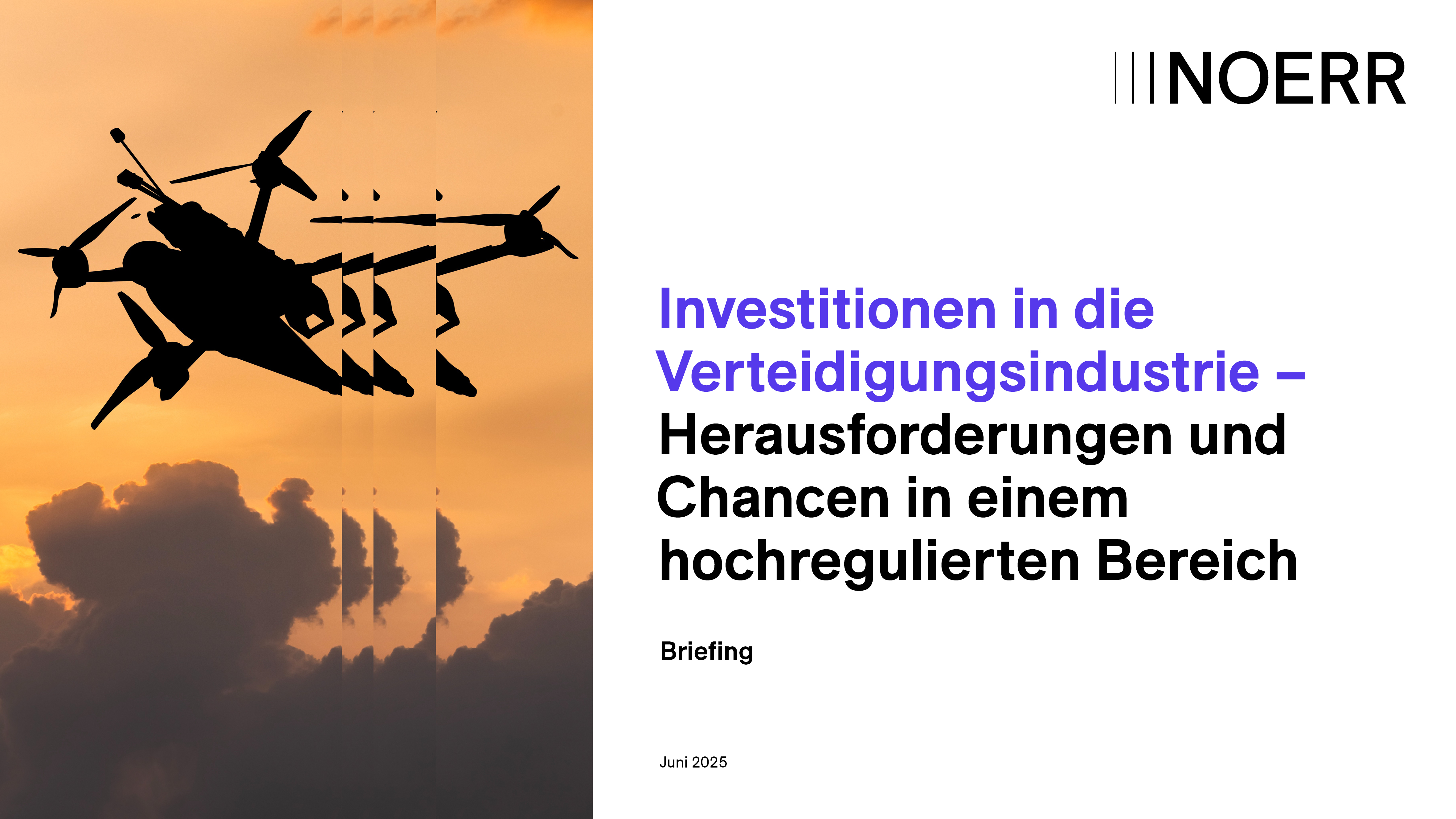 Briefing 5_Investitionen in die Verteidigungsindustrie TS DE