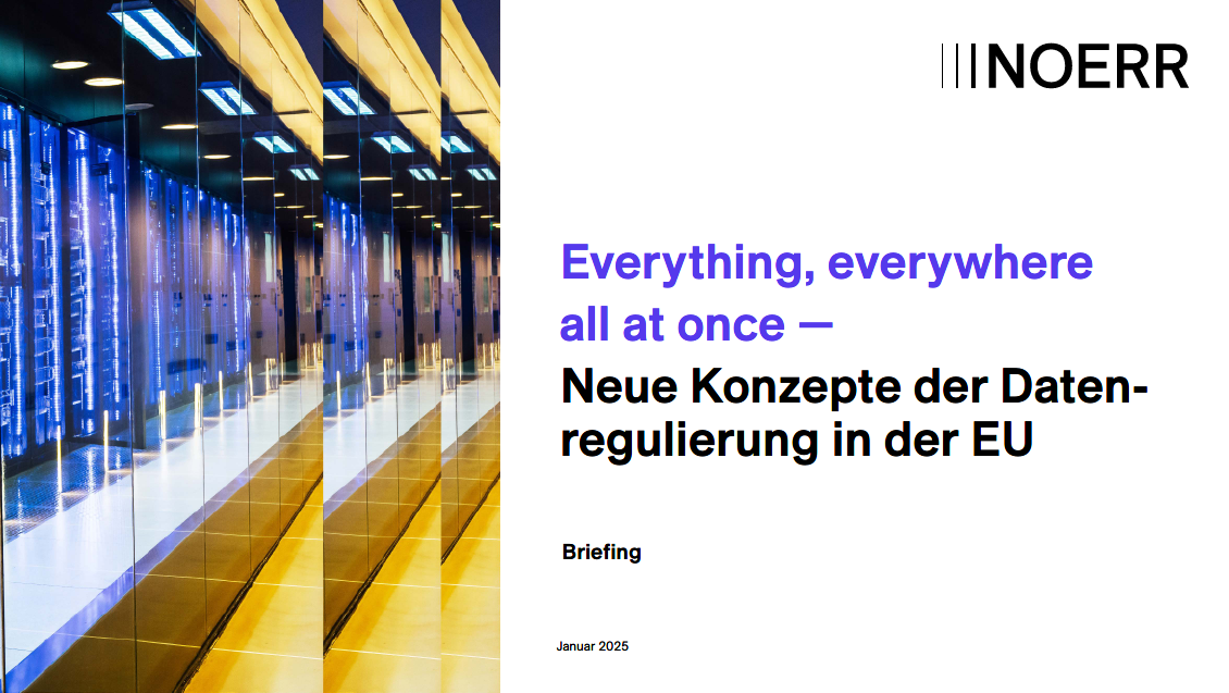 Briefing Datenregulierung