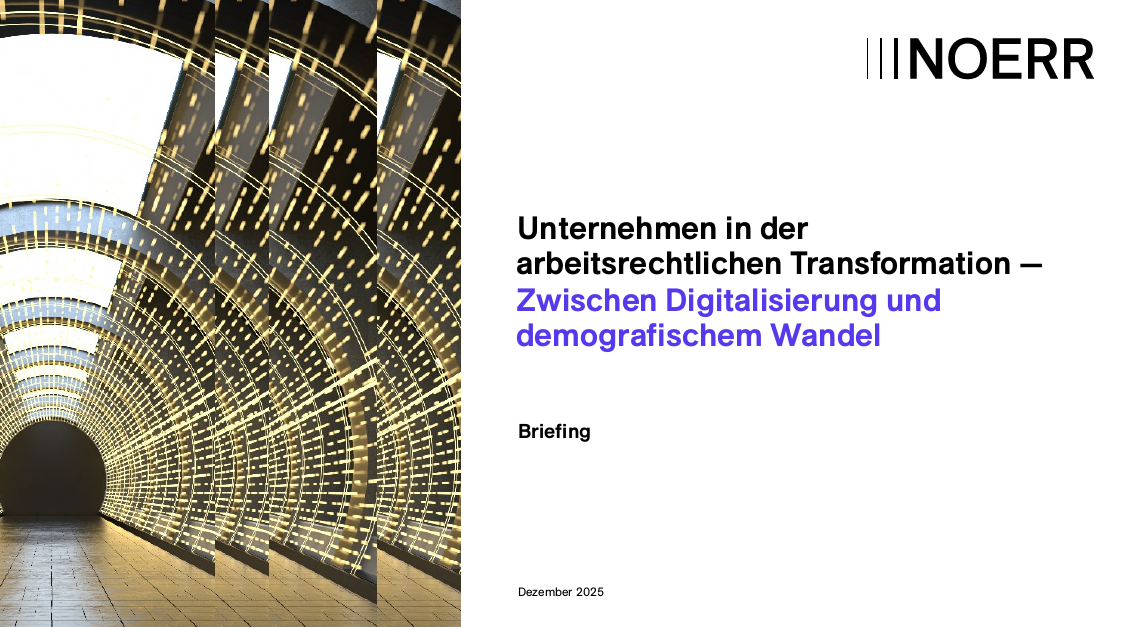 Unternehmen in der arbeitsrechtlichen Transformation