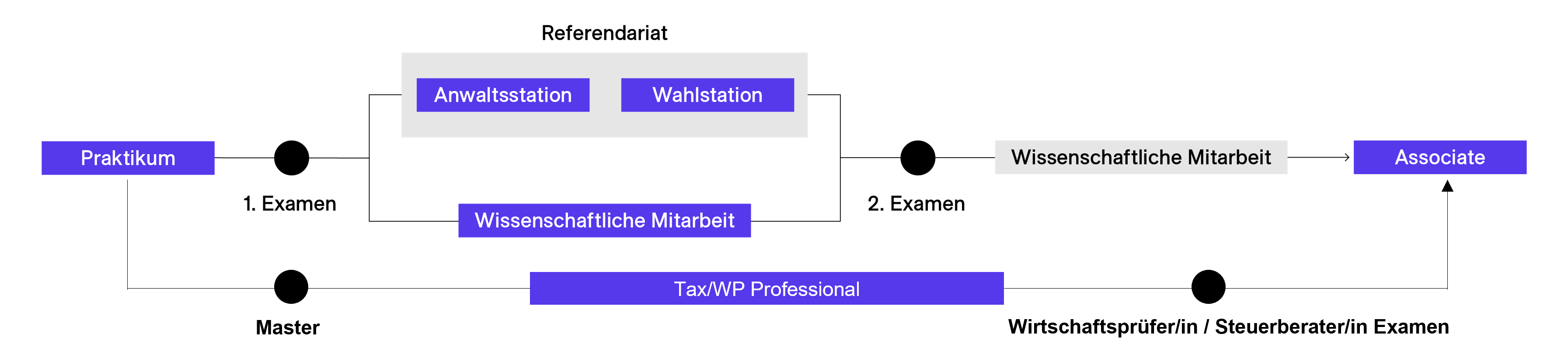 Grafik Karrierewege bei Noerr New Talents