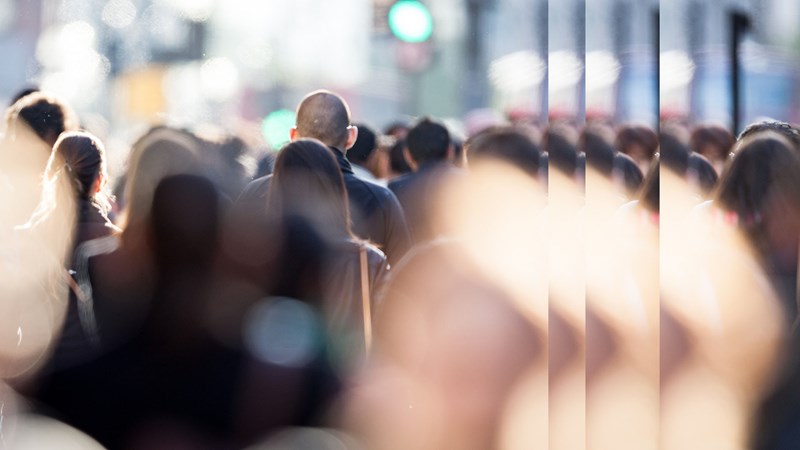 People in pedestrain zone insurance and reinsurance