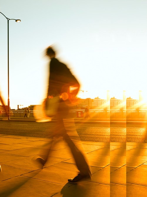 People walking in sunset regulatory and governmental affairs