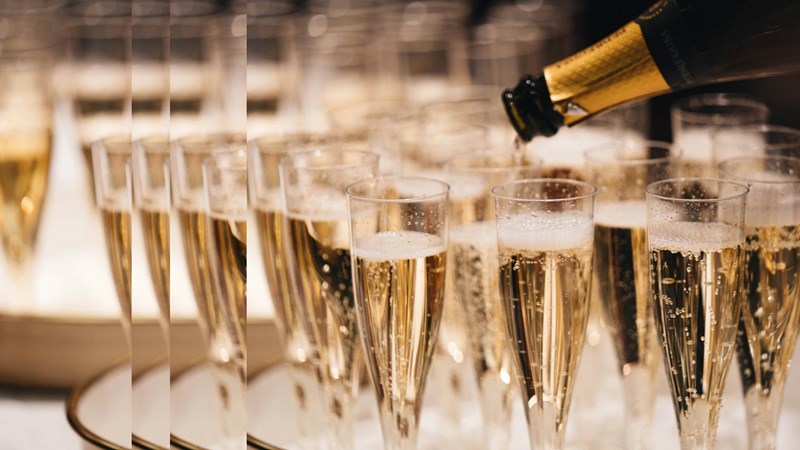 Champagne Reception pulsed