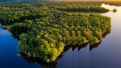 water island with pulse