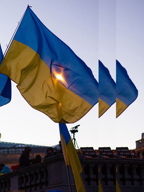 Ukraine Flags