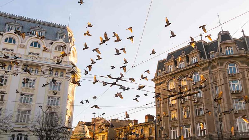City view Bucharest